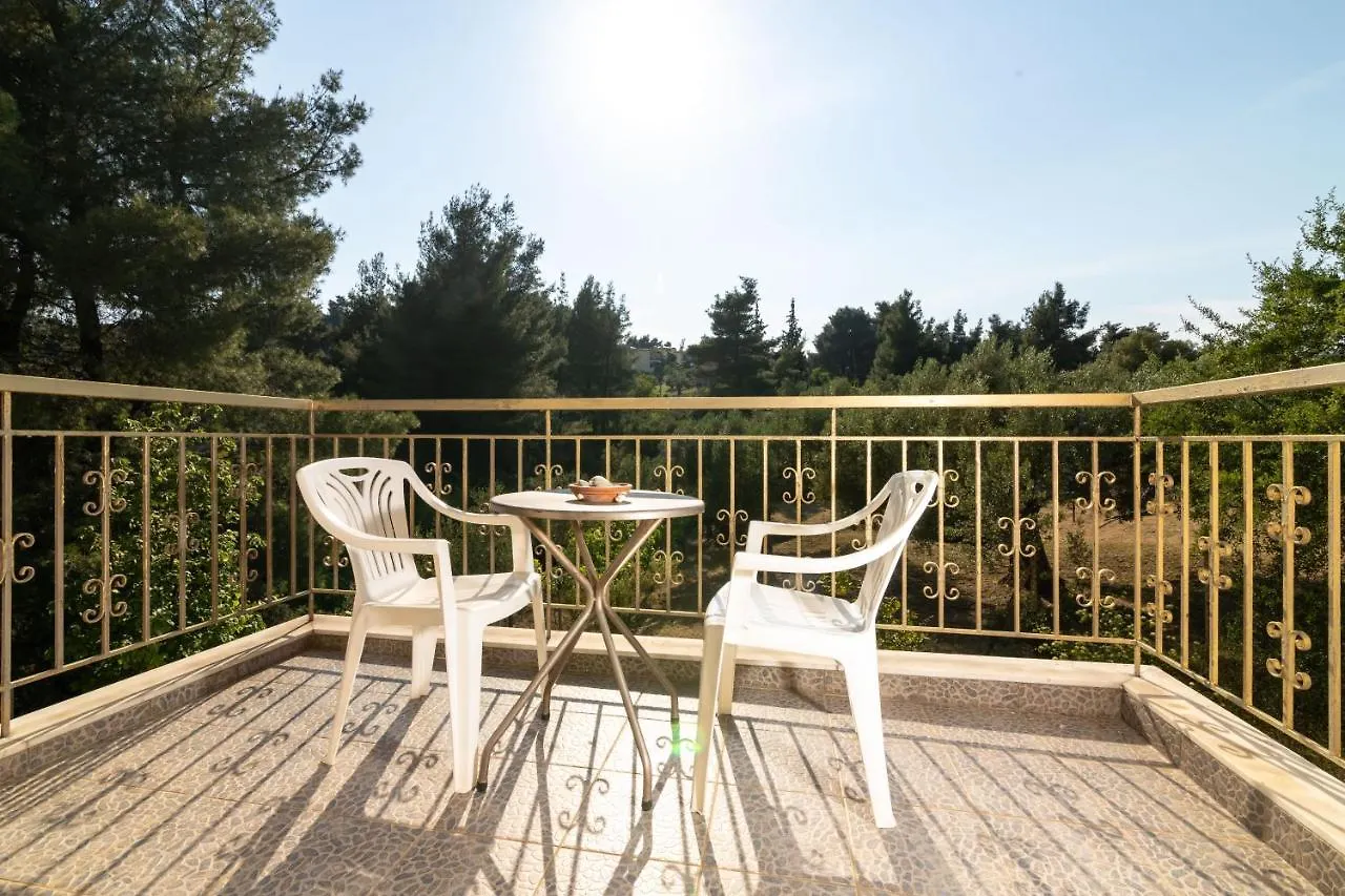 F & B Summer Collection - Paliouri